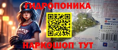 каннабис Камышлов