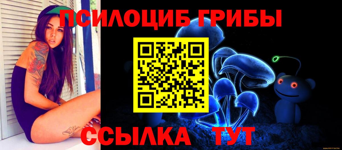 Галлюциногенные грибы прущие грибы Кунгур