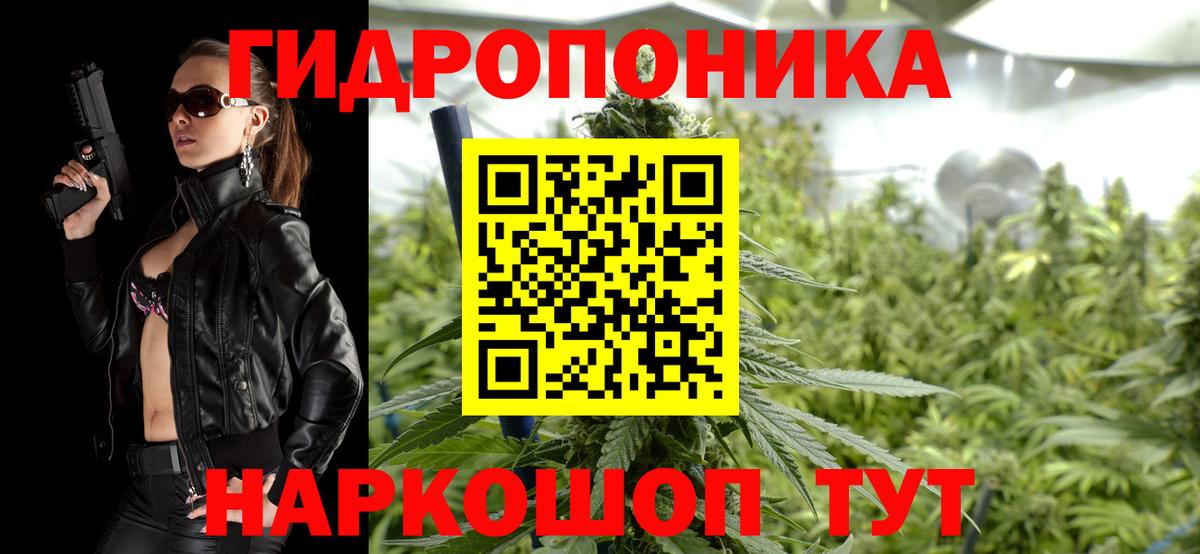 Кунгур  Конопля SATIVA & INDICA  Каннабис план  Вход с VPN  Канабис индика 